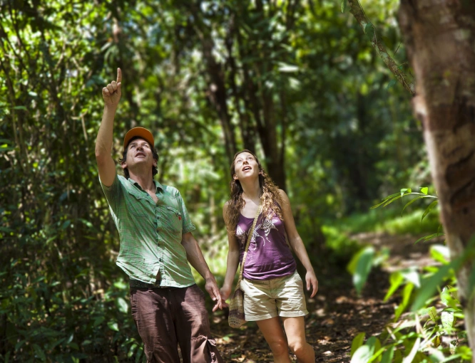 Turistas apreciando la belleza de la selva peruana.